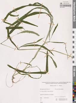 MAG 0016902