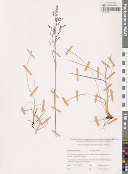 MAG 0016925