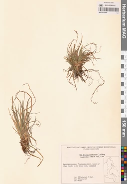 MAG 0018694
