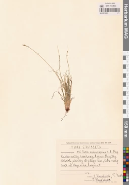 MAG 0018697