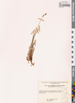 MAG 0018700