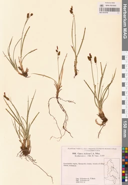 MAG 0018709