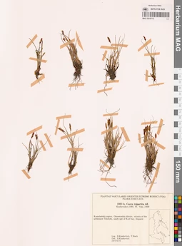 MAG 0018712