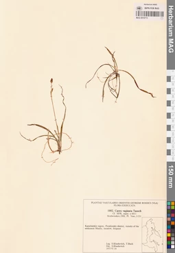 MAG 0018713