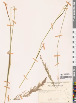 MAG 0018742