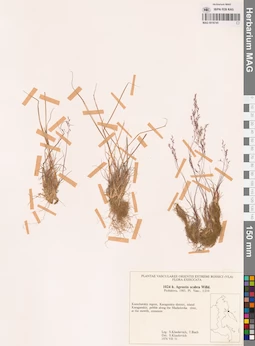 MAG 0018745