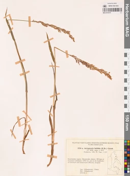 MAG 0018747