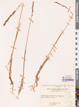 MAG 0018749