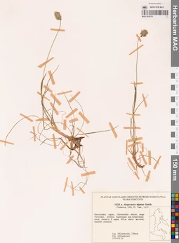 MAG 0018751