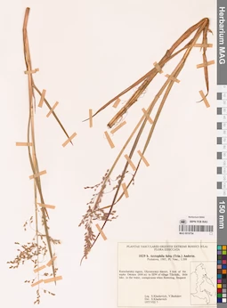 MAG 0018754