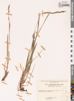 MAG 0018757