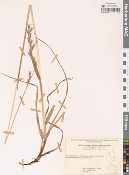MAG 0018758