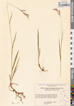 MAG 0018759