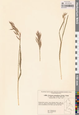 MAG 0018760