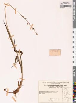 MAG 0018762