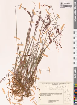 MAG 0018763