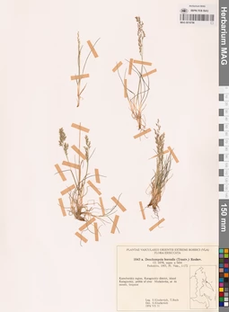 MAG 0018786