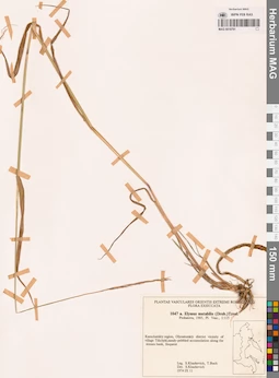 MAG 0018791