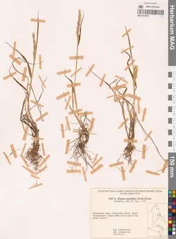 MAG 0018792
