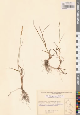 MAG 0018793