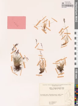 MAG 0018803