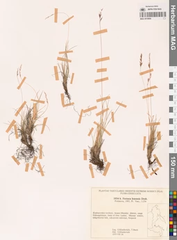 MAG 0018804