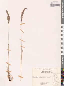 MAG 0018805