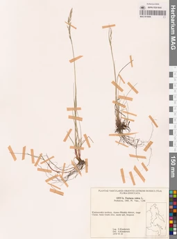 MAG 0018806