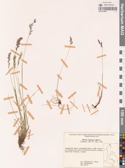 MAG 0018808