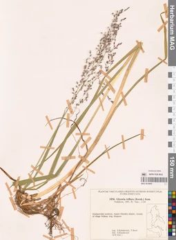 MAG 0018809