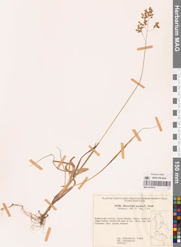 MAG 0018814