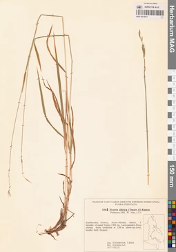 MAG 0018817