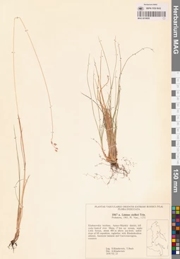 MAG 0018828