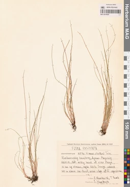 MAG 0018829