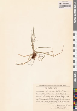 MAG 0018830