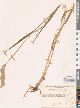 MAG 0018834