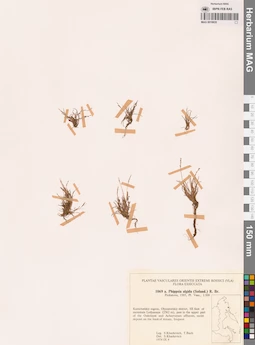 MAG 0018835