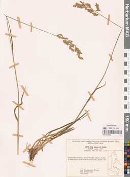 MAG 0018840