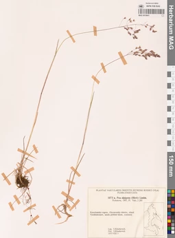 MAG 0018841