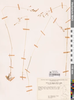 MAG 0018842