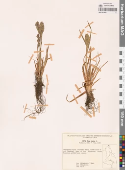 MAG 0018843