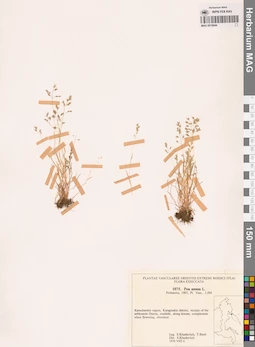 MAG 0018844
