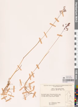MAG 0018845