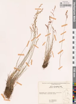 MAG 0018848