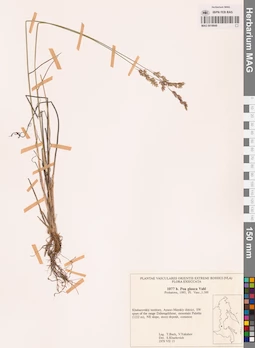MAG 0018849