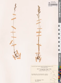 MAG 0018853