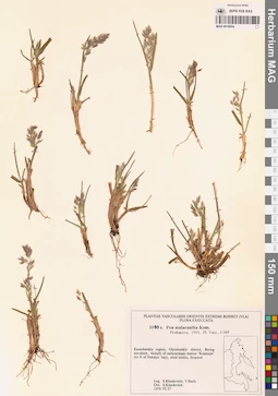 MAG 0018854