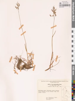 MAG 0018855