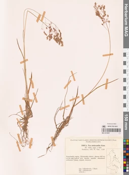 MAG 0018857
