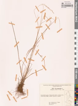 MAG 0018858